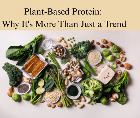Plant-Based Protein: Why It's More Than Just a Trend