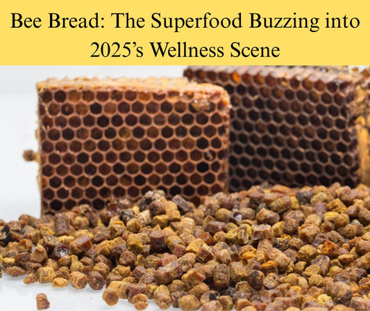 Bee Bread: The Superfood Buzzing into 2025’s Wellness Scene