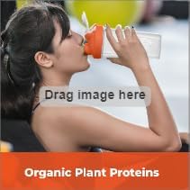 Organic Cashew Protein Cashew Powder - 6 oz - 10g Protein - Certified USDA Organic, Non-GMO Project Verified, No Added Sugars - Certified Vegan, Gluten Free