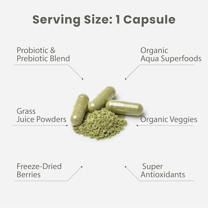 Paradise Herbs Earth's Blend Women's Once Daily Multivitamin with Iron, 48 Organic Superfoods, Probiotics, Antioxidants, Vitamins A, B12, C, D, K2, 60 Capsules