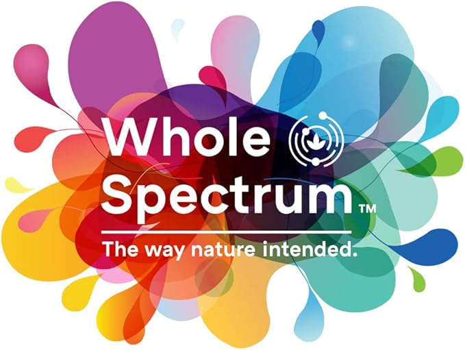 Zen Comfort for Kids, Organic Mood Support with 5-HTP, L-Theanine, Passionflower, Pediatrician Formulated, Vegan Gummies, Raspberry Flavor, 60 Real Fruit Chews