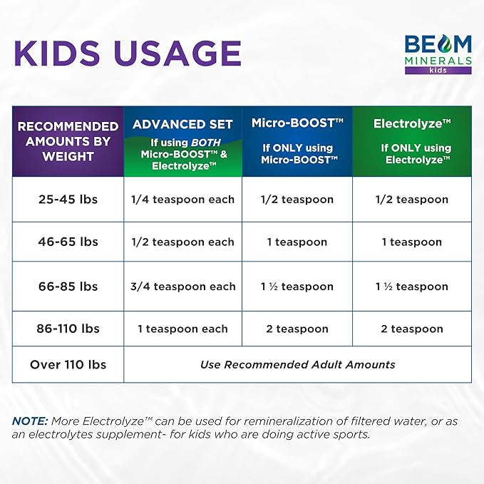 Electrolyte Imbalance Solution | BEAM Minerals Electrolyze | Gold Standard Electrolytes Replenishment | Electrolyte Supplement Liquid | Fulvic Acid Trace Mineral Micronutrients Supplements | Ketogenic