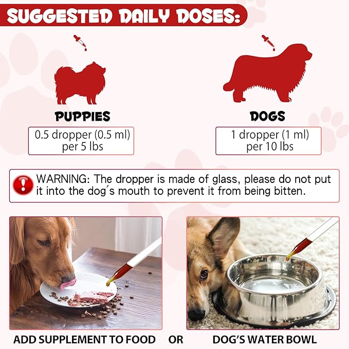 Liquid Iron Drops for Dogs, Liquid Iron Supplements for Dogs Supports Anemia, Promotes Blood Health, Improve Low Enery Levels and Lethargy - Pet Supplies Dog Vitamins - 60 ml/Caramel Flavor