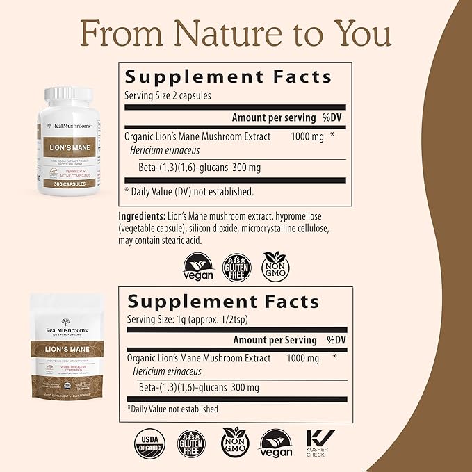 Lions Mane Mushroom Cognition Capsules (120 Capsules) Lions Mane Mushroom Powder Extract Capsules | Brain Supplement, Brain Vitamins, Focus Supplement