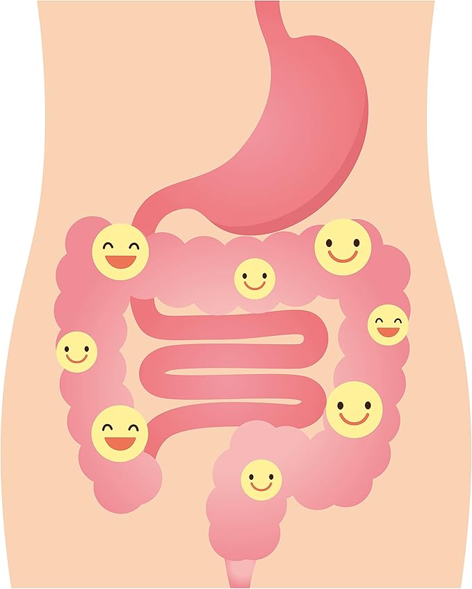 DrFormulas' Best Probiotics for Women & Men | Nexabiotic Multi Probiotic with Saccharomyces Boulardii, Lactobacillus Acidophilus, B. infantis, Prebiotic 60 Count Capsules (Not Pearls)