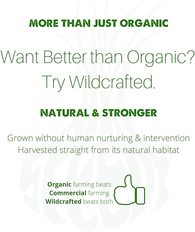 Natural Blood Cleanser Capsules Organic Supplement SpeedyVite® (120 Vegetable Powder Capsules)