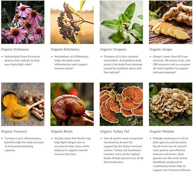 Greenworks Nature's Immune - Advanced Daily Immune Support with Elderberry, Echinacea, Ginger, Turmeric, Oregano, Turkey Tail, Reishi & Maitake - Organic, Vegan, Non-GMO (30 Servings)