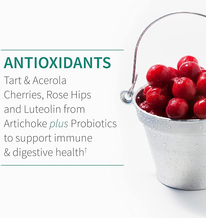 Garden of Life Quercetin Once Daily Immune System Support Supplement with Vitamin C, D & Probiotics – Dr Formulated – Immune Health, Respiratory Health, Skin Health, Gluten Free, Non GMO – 30 Tablets