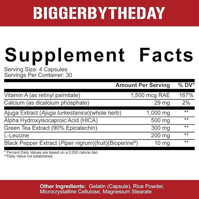 5% Nutrition Rich Piana BiggerByTheDay | Anabolic Muscle Builder, Hardcore Mass Gainer | Turkesterone, HICA, Epicatechin, Leucine | 120 Capsules (30 Servings)