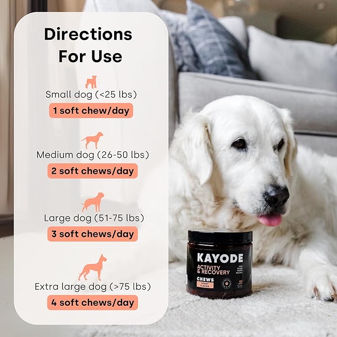 Joint & Recovery | 2-in-1 Joint & Muscle Chews. Joint Support Supplement for Dogs. Helps with Arthritis or Prevention from Hip & Joint Pain. for All Life Stages. Tasty Trout Flavor.