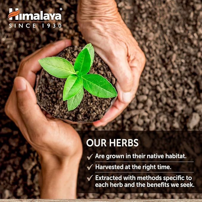 Himalaya HeartCare, Cholesterol & Blood Pressure Supplements for Cardiovascular Wellness and Heart Health, 720mg, 240 Capsules, 2 Month Supply