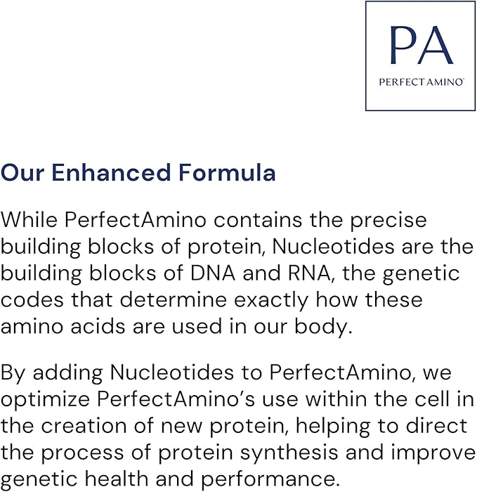 BodyHealth Probiotic Enhanced with PerfectAmino, Digestive Probiotic for Women and Men, Spore Based Probiotic with Bifidobacterium, Lactobacillus Salivarius, Lactobacillus Acidophilus (60 Capsules)