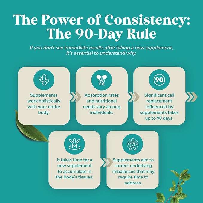 Liver Support Supplement with NAC - Herbal Liver Supplement with N Acetyl Cysteine Silymarin Milk Thistle Extract Dandelion Root Artichoke Extract Choline Bitartrate and Berberine 120 Capsules