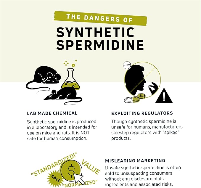 spermidineLIFE Natural Supplement, Plant-Based, Wheat Germ Extract with High Spermidine Content and Zinc for Cell Renewal, Vegan-Friendly, 60 Capsules