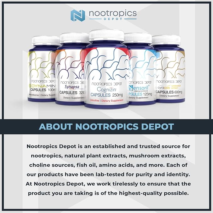 Nootropics Depot Acetyl L-Carnitine Capsules | 500mg | 180 Count | HCL Form | Energy Supplement | Supports Mitochondrial Function | ALCAR HCL