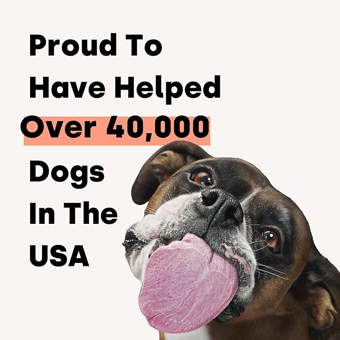 Kayode Daily Multi - Dog Multivitamin & Superfood Chew. Fill Nutrient Gaps. Helps Joints, Digestion, Heart, Brain, Urinary & More. Add Nutrients Dog Food Misses. Great for Puppies Too.