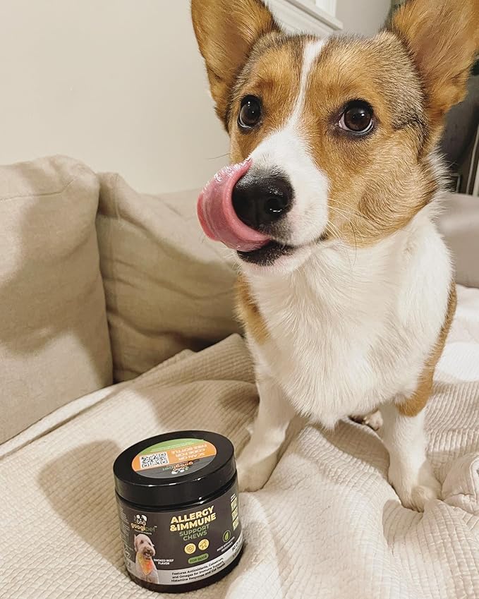 Googipet Dog Allergy Chews, Dog Allergy Relief & Itchy Skin Relief, Dog Skin & Coat Supplement +Bee Pollen, Colostrum for Dogs, Coconut Oil, Probiotics, & Omega 3 Fish Oil for Dogs Itching Skin Relief