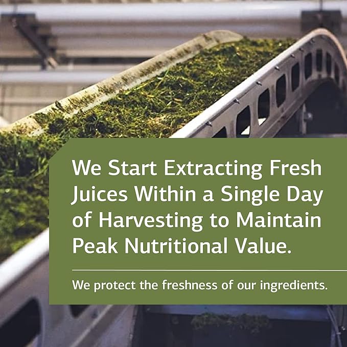 Standard Process Cholacol - Gallbladder Support Supplement - Fat Digestion Supplement for Digestive Health & Bile Support - Gluten-Free, Non-Dairy & Non-Soy - 90 Tablets