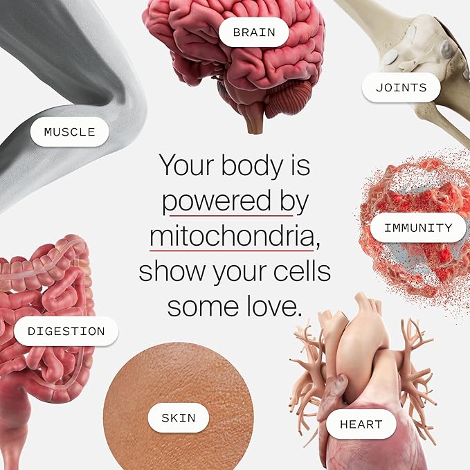 Timeline Mitopure Urolithin A - Clinically Proven Supplement for Healthy Aging and Cellular Renewal - Anti-Aging Mitoceutical for Muscle Strength, Endurance and Longevity - 60 Softgels