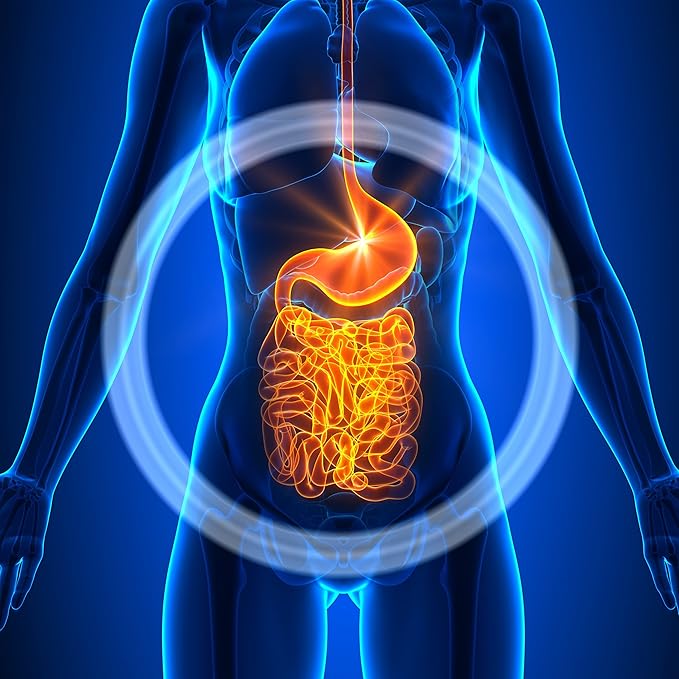 Advanced Probiotic w/ 50 Billion CFU Per Serving, Shelf Stable, Men's and Women's Probiotic Supplement to Stay Fit, 30 Capsules