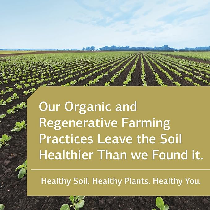 Standard Process General Health Daily Fundamentals - Maintain Optimal Health with Vitamin D, Zinc, Vitamin C, Iron, Vitamin B12, Vitamin A, Iodine, Copper, Vitamin B6, DHA, EPA - 60 Pack