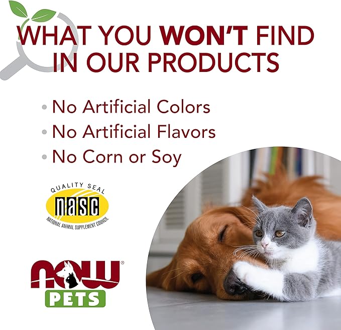 NOW Foods Pet Health, Kidney Support Supplement, Formulated for Cats & Dogs, NASC Certified, Powder, 4.2-Ounce