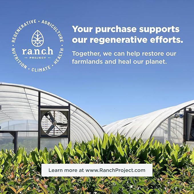 Probiotics for Men by Ancient Nutrition, SBO Probiotics Men's Once Daily 30 Ct, for Healthy Digestion and Immune System Function Support, 25 Billion CFUs* Per Serving