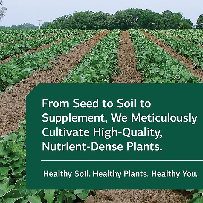 Standard Process SP Cleanse - Whole Food Gallbladder Cleanse, Liver Cleanse, Kidney Support, Digestion and Toxin Cleanse with Collinsonia Root, Juniper Berry, Cordyceps Mushroom, and More - 150 Caps