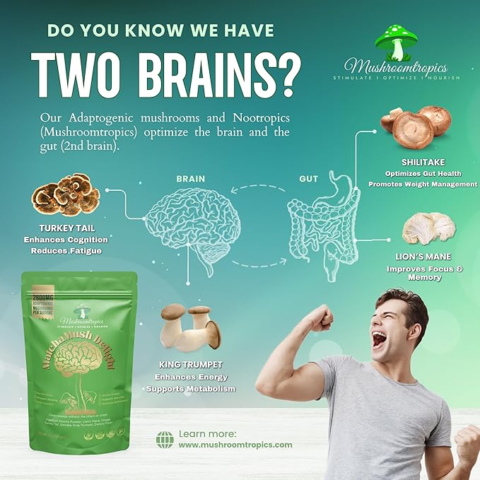 Mushroomtropics Matcha Mush Delight Mushroom Coffee Alternative, 2,800mg Adaptogenic Mushroom Blend and Fiber per Serving. for Better Energy, Bloating Relief, Mental Clarity and Immunity 30 Servings