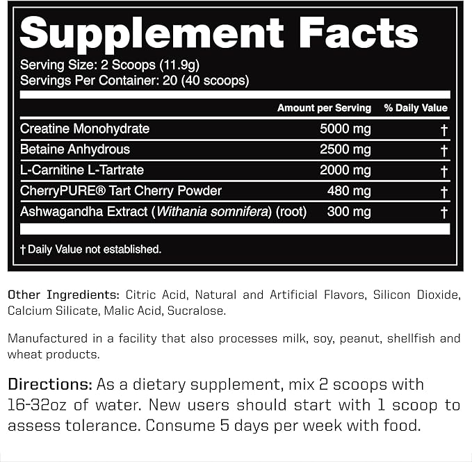 Outwork Nutrition Recovery Supplement, Post Workout Recovery Powder & Muscle Builder for Men and Women, Recharge Muscles After Gym, Backed by Science, Green Apple, 240 Gr