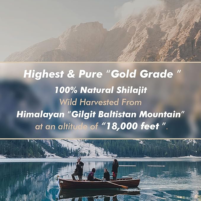 Shilajit Pure Himalayan Shilajit Resin - Gold Grade 100% Pure Shilajit with Fulvic Acid & 85+ Trace Minerals Complex for Energy & Immune Support, Pack of 2 (4 Months Supply)