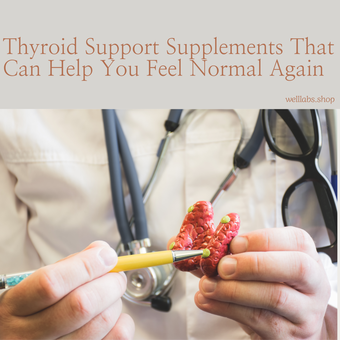 Thyroid Support Supplements That Can Help You Feel Normal Again