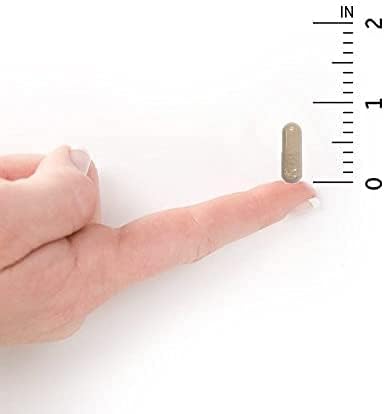 Garden of Life Multivitamin for Women - Vitamin Code 50 & Wiser Women's Raw Whole Food Vitamin Supplement with Probiotics, Vegetarian, 120 Count