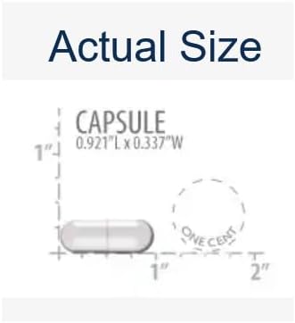 Life Extension Neuro-mag Magnesium L-threonate, Magnesium L-threonate, Brain Health, Memory & Attention, Gluten Free, Vegetarian, Non-GMO, 90 Vegetarian Capsules (Pack of 2)