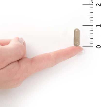 Garden of Life Vitamin K2 and K1, Vitamin Code Vegan K Complex Vitamin for Bone Strength and Heart Health, Vitamin K1 and K2, Omega Rich Flax Seed Oil, Trace Minerals, Probiotics, 60 Day Supply