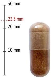 Renohelp Powerful All-Natural Kidney Support Supplement for Healthy Kidney Function, Creatinine Levels and Glomerular Filtration, Vegan & Gluten Free* (90 Capsules)