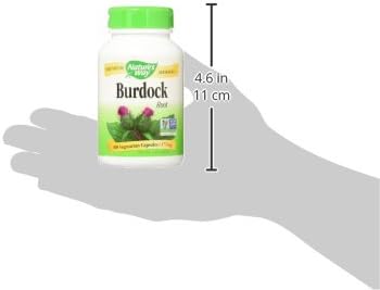 Nature's Way Burdock Root, Traditional Joint Support*, 100 Vegan Capsules (Packaging May Vary)