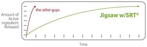 Jigsaw Health CoQ10-SRT | Heart Health Support | with Sustained Release Technology | 60 Servings