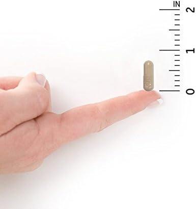 Garden of Life Multivitamin for Men, Vitamin Code 50 & Wiser Men's Raw Whole Food Vitamin Supplement with Probiotics, Vegetarian, 120 Capsules