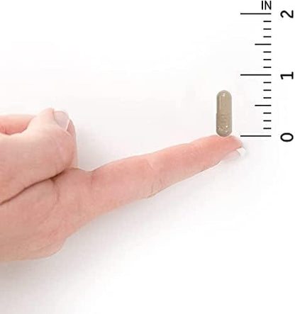 Garden of Life Vitamin Code Whole Food Multivitamin for Men, Fruit & Veggie Blend and Probiotics for Energy, Heart, Prostate Health, 120 Count