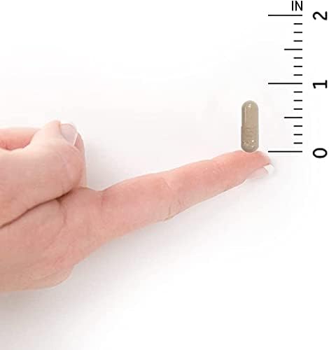 Garden of Life Vitamin Code Raw One Once Daily Multivitamin Capsules, Fruits, Veggies, Probiotics for Womens Health, Vegetarian, Gluten Free, 75 Count