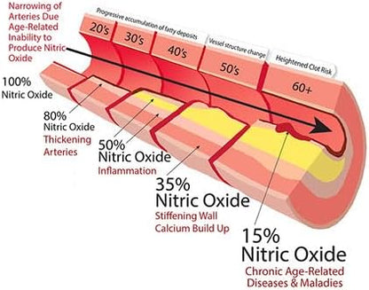 OxyBoost - Nitric Oxide Supplement (1 Bottle - 30 Servings)