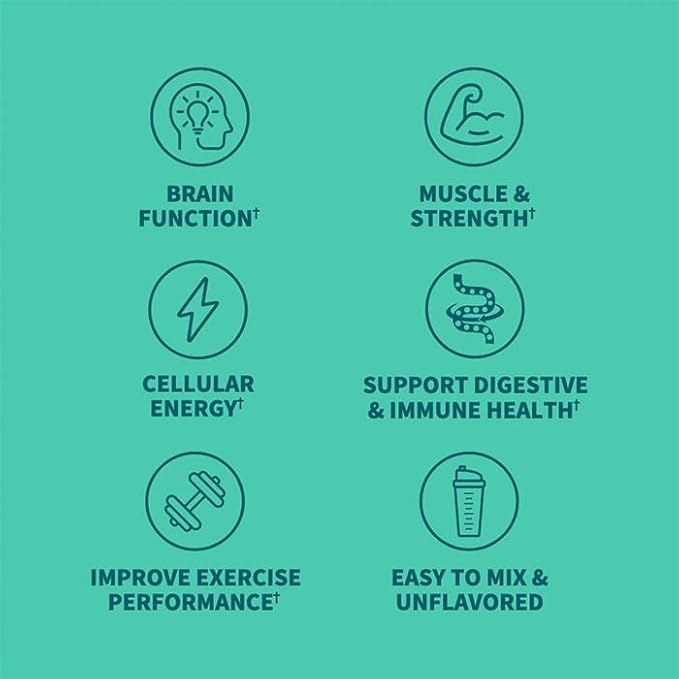 Garden of Life Creatine Monohydrate Powder for Women and Men, Micronized Pre Workout with Probiotics for Muscle, Strength, Performance, Sport Amino Energy, About 60 Easy to Mix Unflavored Servings