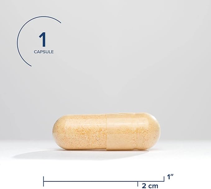 Seeking Health B Complex Plus - Vitamin B Complex Supplement with Choline & Riboflavin - Supports Brain Health, Digestion, & Energy - 100 Capsules