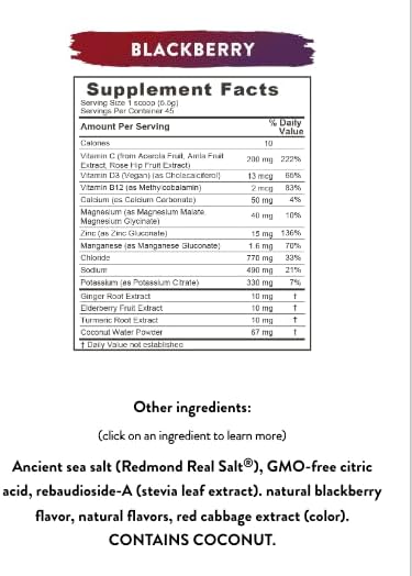 REDMOND Re-Lyte Immunity, Multivitamin Supplement Mix (BlackBerry)