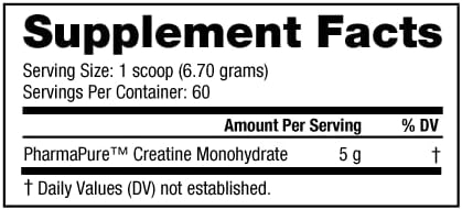 NutraBio Pure Creatine Monohydrate Powder Supplement, Arctic Blast, (300 g) - Supports Bulk Muscle Energy, Recovery, and Strength - HPLC Tested Pure Grade Creatine Powder Supplement for Men and Women