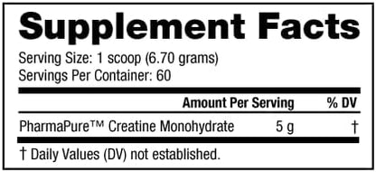 NutraBio Pure Creatine Monohydrate Powder Supplement, Arctic Blast, (300 g) - Supports Bulk Muscle Energy, Recovery, and Strength - HPLC Tested Pure Grade Creatine Powder Supplement for Men and Women