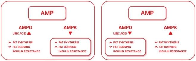 Magnificent 7 – Advanced Cellular Health & Anti-Aging Supplement – 90 Capsules