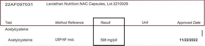 NAC Supplement N-Acetyl Cysteine for Lung, Liver, Immune Support - Potent Antioxidant Support to Boost Glutathione Levels 600mg, 120 Capsules