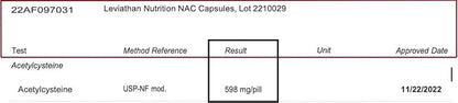 NAC Supplement N-Acetyl Cysteine for Lung, Liver, Immune Support - Potent Antioxidant Support to Boost Glutathione Levels 600mg, 120 Capsules